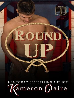 cover image of Round Up